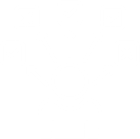 Term vs Whole Life Options